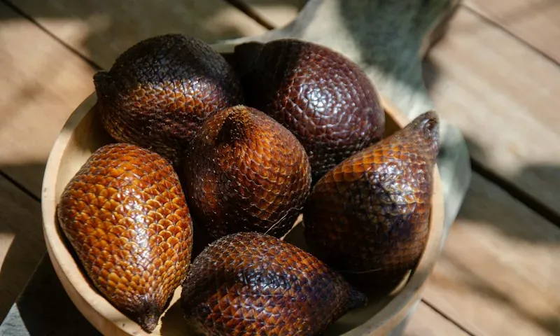 Hasil kebun dan salak